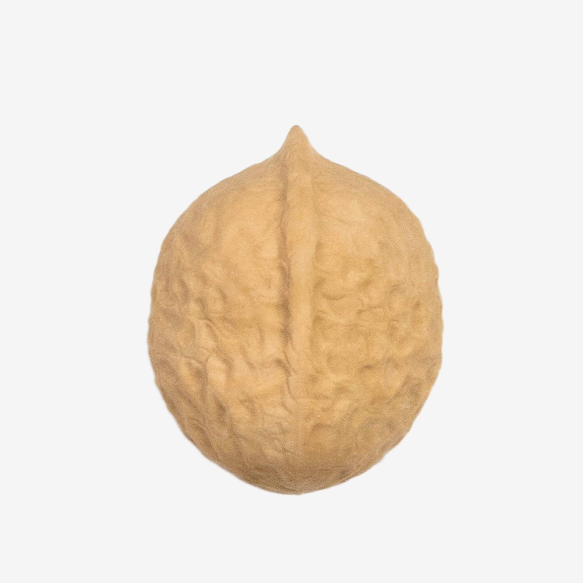 Walnut - Maxi gomme Legami